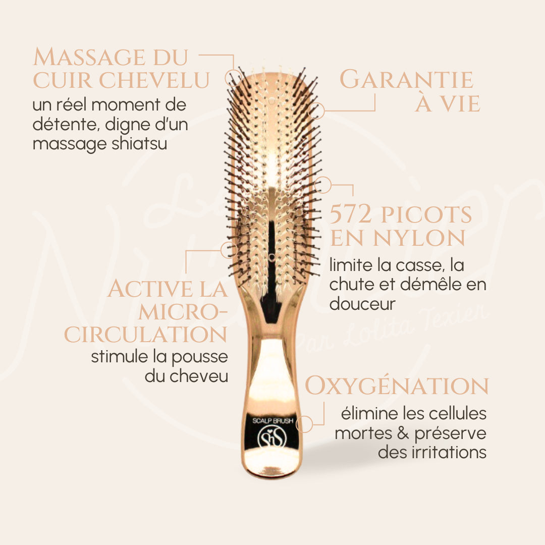 Coffret Scalp Brush Premium