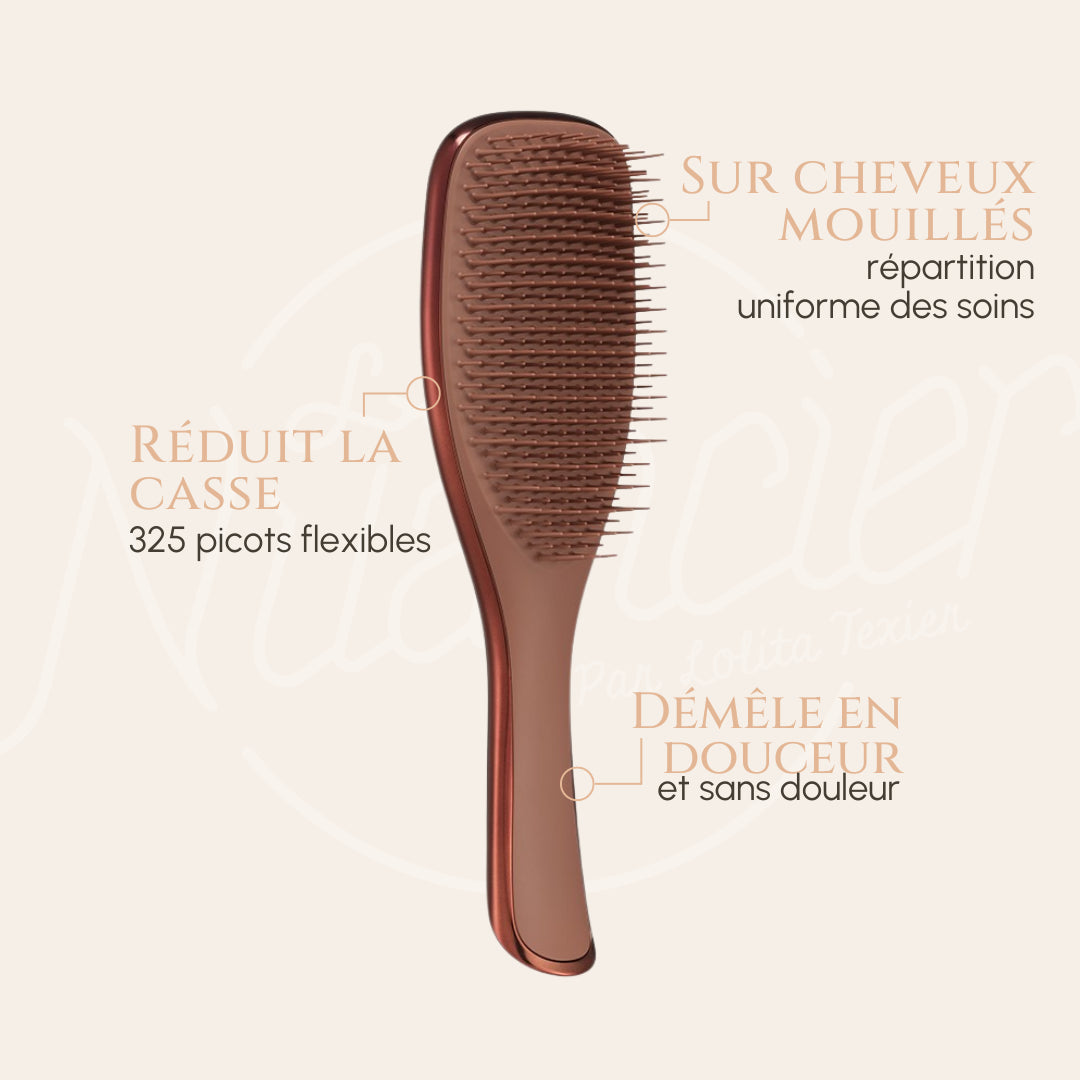 Brosse Wet Detangler